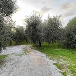 content-gallery-6-large