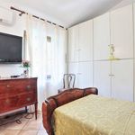 content-gallery-6-large