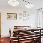 content-gallery-6-large