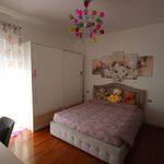 content-gallery-6-large