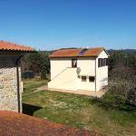 content-gallery-6-large