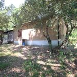 content-gallery-6-large