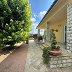 content-gallery-6-large