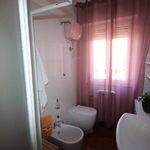 content-gallery-6-large