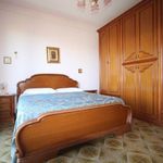 content-gallery-6-large