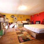 content-gallery-6-large