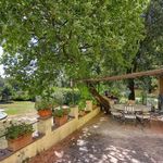 content-gallery-6-large