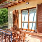 content-gallery-6-large