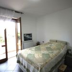 content-gallery-6-large