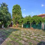 content-gallery-6-large