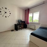 content-gallery-6-large