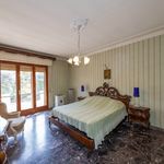 content-gallery-6-large