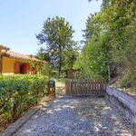 content-gallery-6-large