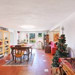 content-gallery-6-large