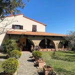 content-gallery-6-large