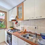 content-gallery-6-large