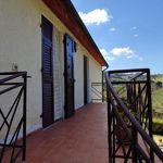 content-gallery-6-large