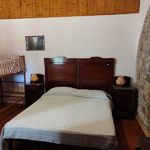 content-gallery-6-large