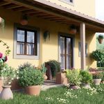 content-gallery-6-large