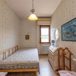 content-gallery-6-large