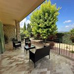 content-gallery-6-large