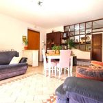 content-gallery-6-large