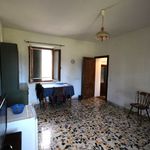 content-gallery-6-large