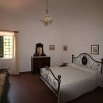 content-gallery-6-large