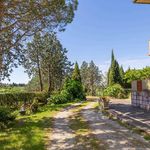 content-gallery-6-large