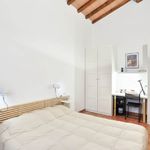 content-gallery-6-large