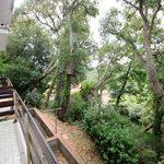 content-gallery-6-large