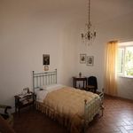 content-gallery-6-large