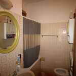 content-gallery-6-large