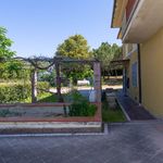 content-gallery-6-large