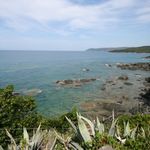 content-gallery-6-large