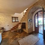 content-gallery-6-large