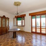 content-gallery-6-large