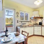 content-gallery-6-large