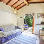 content-gallery-6-large