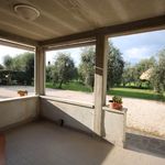 content-gallery-6-large