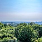 content-gallery-6-large