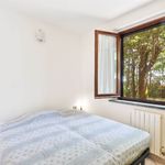 content-gallery-6-large