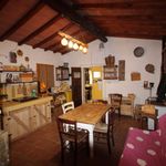 content-gallery-6-large