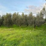 content-gallery-6-large