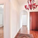 content-gallery-6-large