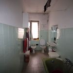 content-gallery-6-large