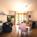 content-gallery-6-large