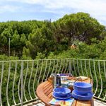 content-gallery-6-large