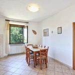 content-gallery-6-large