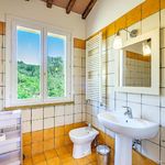 content-gallery-6-large